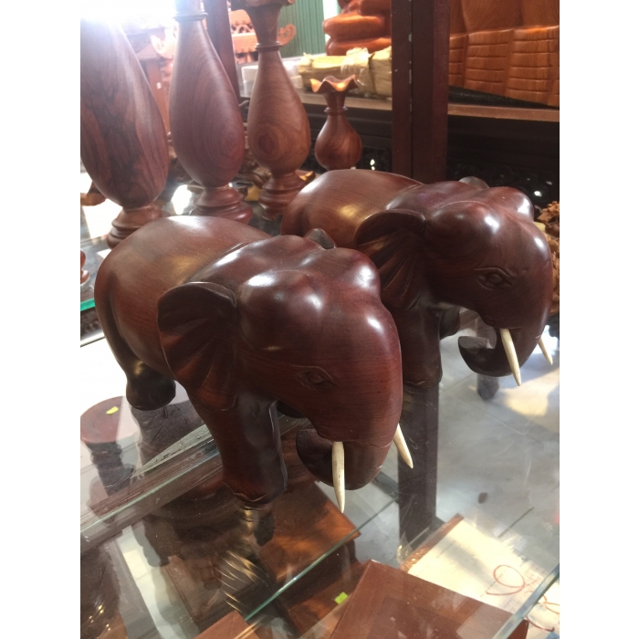 TƯƠNG CẶP VOI